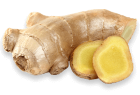 Ginger Root Extract - natural anti-inflammatory ingredient in Joint Genesis for joint pain relief